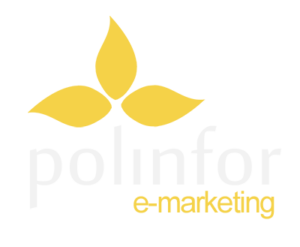 Polinfor pozycjonowanie